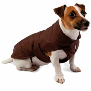 Cappotto Foderato in Pile Fashion dog