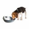 Camon Fontanella Automatica per Cane