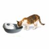 Camon Fontanella Automatica per Gatto