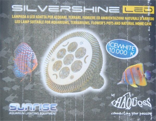 Haquoss Silvershine LED Icewhite Box