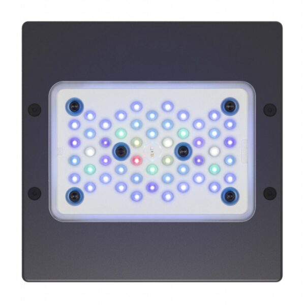 Radion XR15w G5 BLU LED