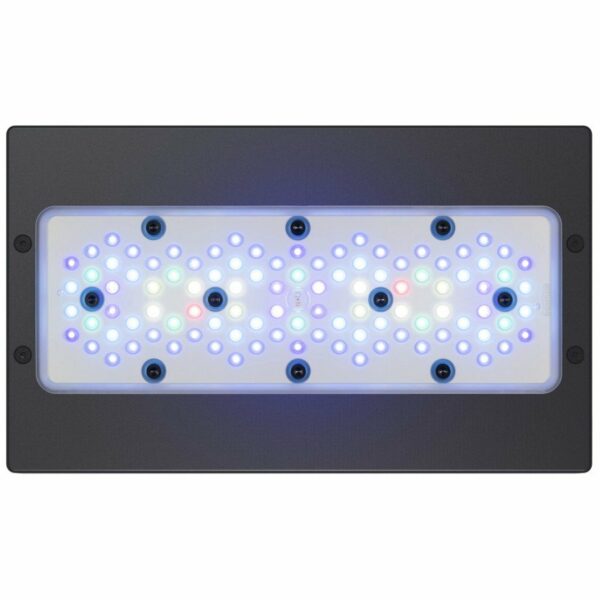 Radion XR30w G5 BLU LED