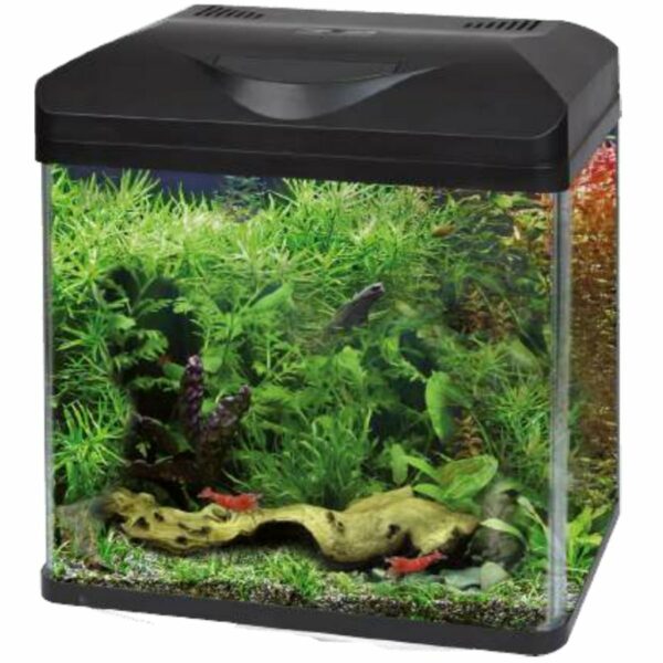 Wave Laguna LED Acquario Completo