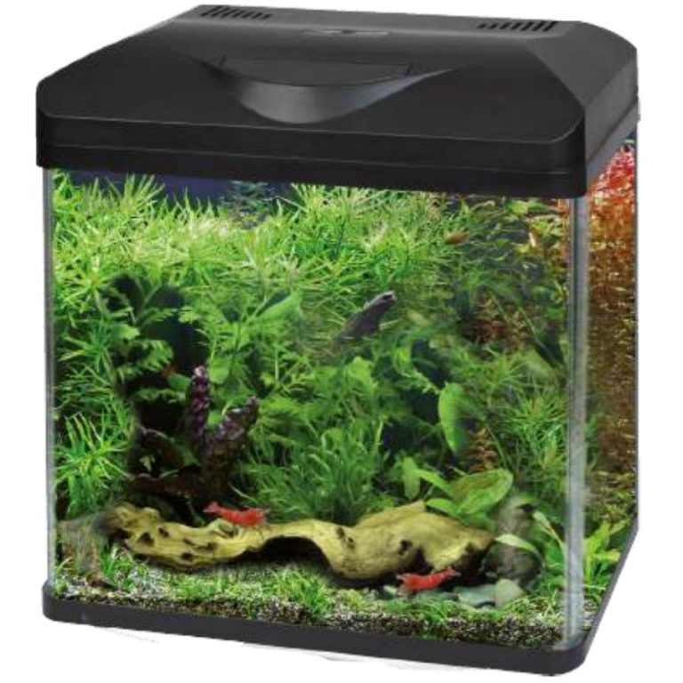Acquario Completo Nobleza Da 30 Litri - Con Filtraggio Integrato 300L/H, Illuminazione LED E Vetro Curvo - Ideale Per Principianti, Per Soggiorno O Ufficio