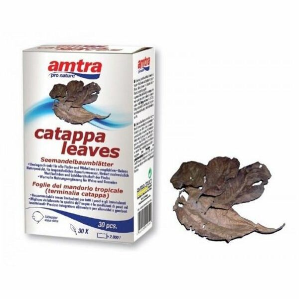 Amtra Catappa Leaves Foglie di Catappa