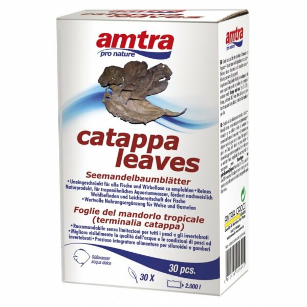 Amtra Catappa Leaves