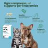 Camon Hybrid compresse 3