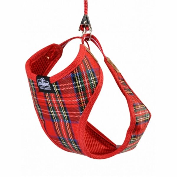 Pettorina Tartan con Guinzaglio Camon Rossa