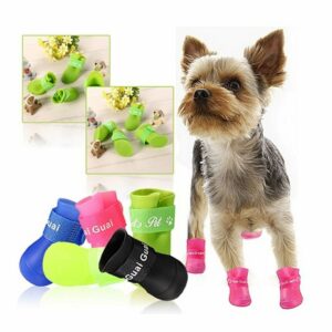 Accessori per Cani Archivi - Ulisse Quality Shop