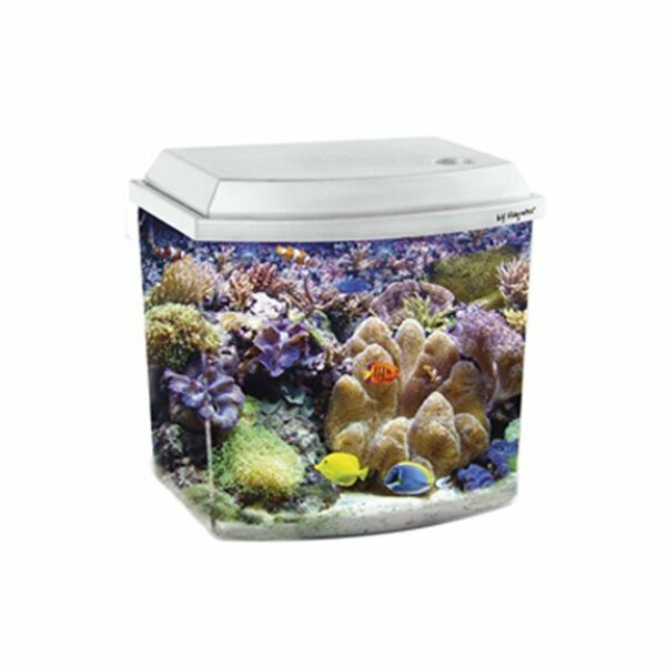 Haquoss BLU 3.8 Micro Acquario Completo Bianco