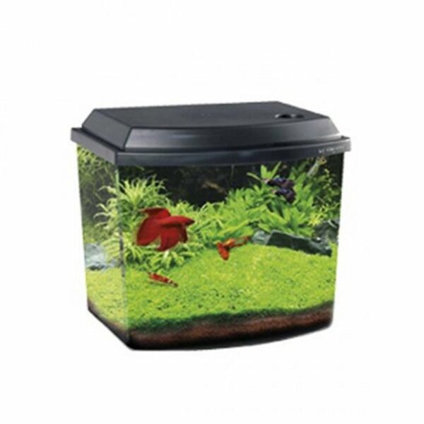 Haquoss BLU 3.8 Micro Acquario Completo Nero