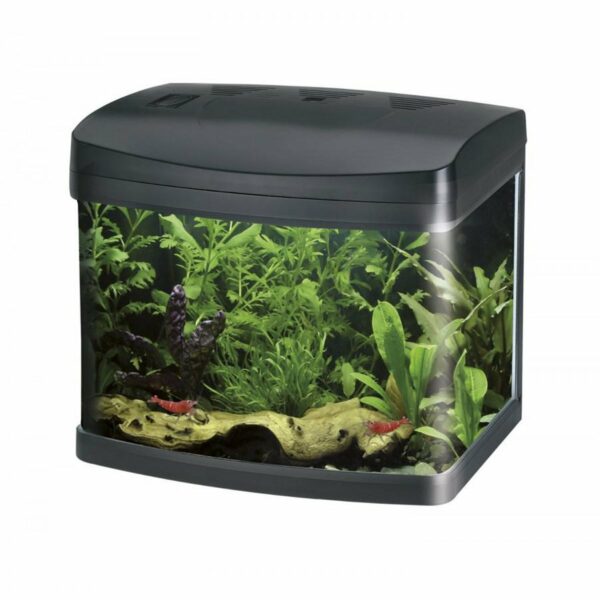 Wave XCUBE 40 LED Acquario Completo