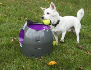 PetSafe Automatic Ball Launcher