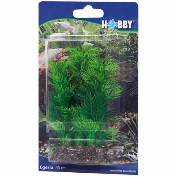 Hobby Egeria Pianta Artificiale per Acquario 16 box