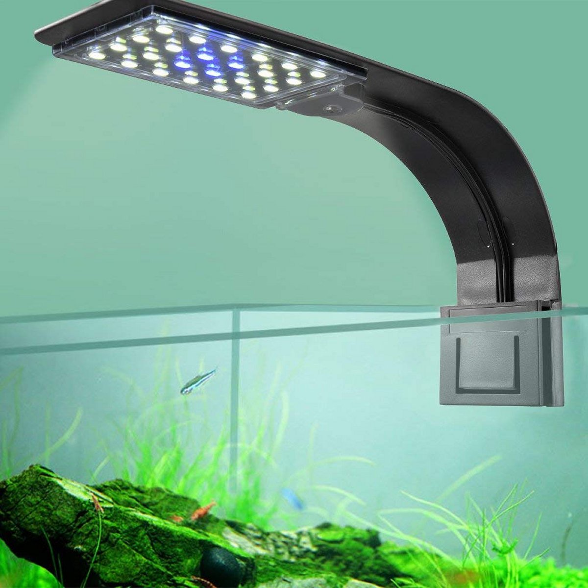 Blu Bios Line LED 9 Watt Plafoniera per Acquario - Ulisse Quality Shop