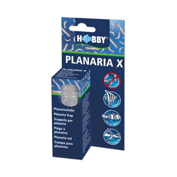 Planaria X Trappola per Planarie Hobby