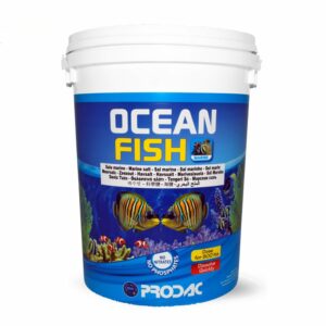 Prodac Ocean Fish Sale Marino Canestro