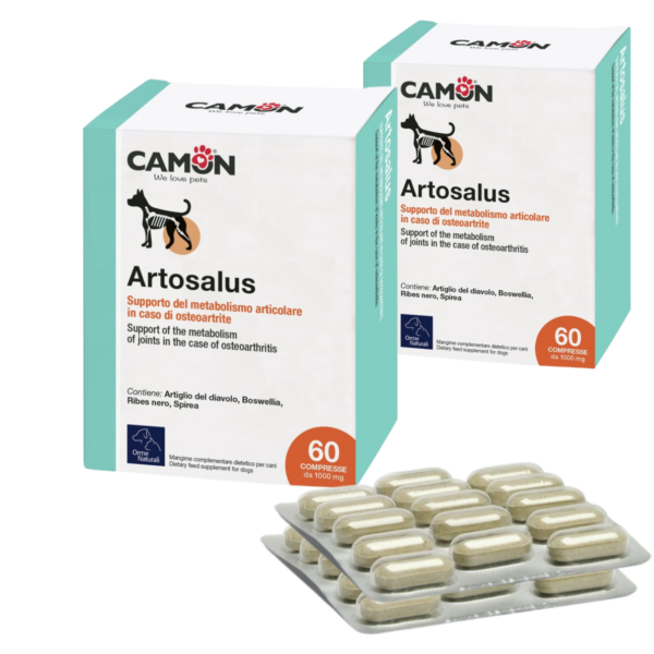 Camon Artosalus 60 Compresse blister Bipack