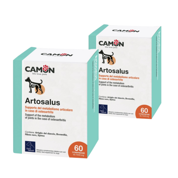 Camon Artosalus 60 Compresse bipack