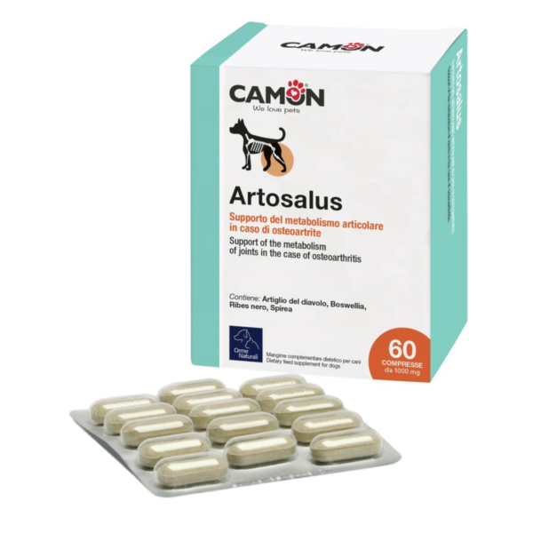 Camon Artosalus 60 Compresse blister