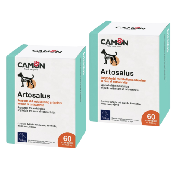 Camon Artosalus 60 Compresse bipack