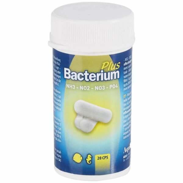 Aquili Bacterium Plus 20 capsule