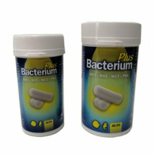 Aquili Bacterium Plus Formati