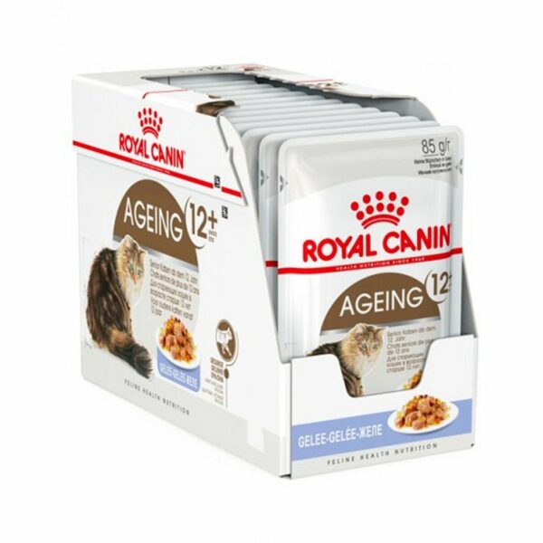 Royal Canin Ageing 12+ Gelatina Box 12 pezzi