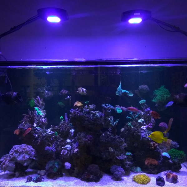 Aquanest Light M8 Aquarium