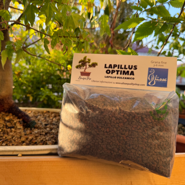 BonsaiPro Lapillus Optima Lapillo Vulcanico 3-6 Balcony 2