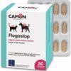 Camon Flogostop 60 Compresse