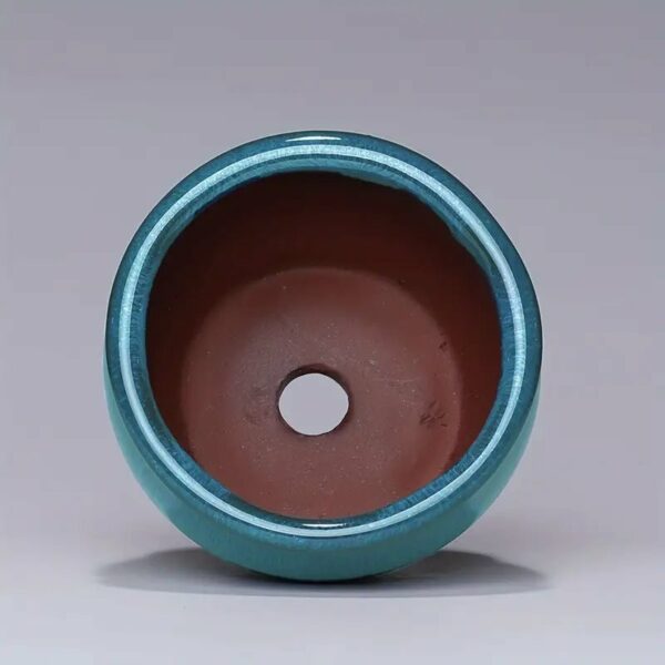 Vaso Bonsai Mame Verde Mare Tondo - immagine 4