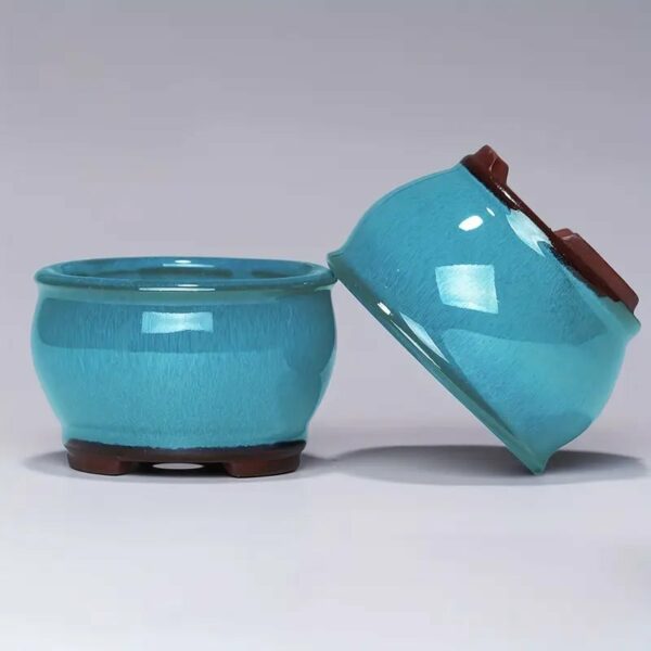 Vaso Bonsai Mame Verde Mare Tondo - immagine 5